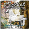 AutoFX Mystical Tint Tone and Color